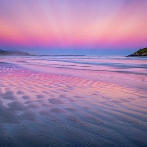 Meet your Posher, Elle